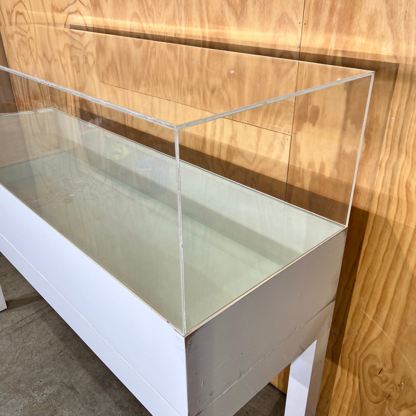 White Display Cabinet with Perspex Case and Two Shelf Options