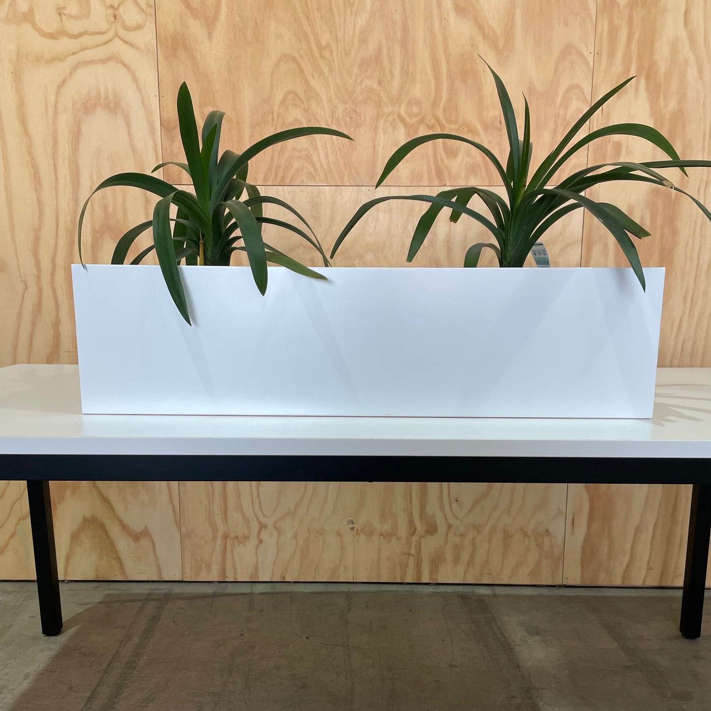 White Planter Box