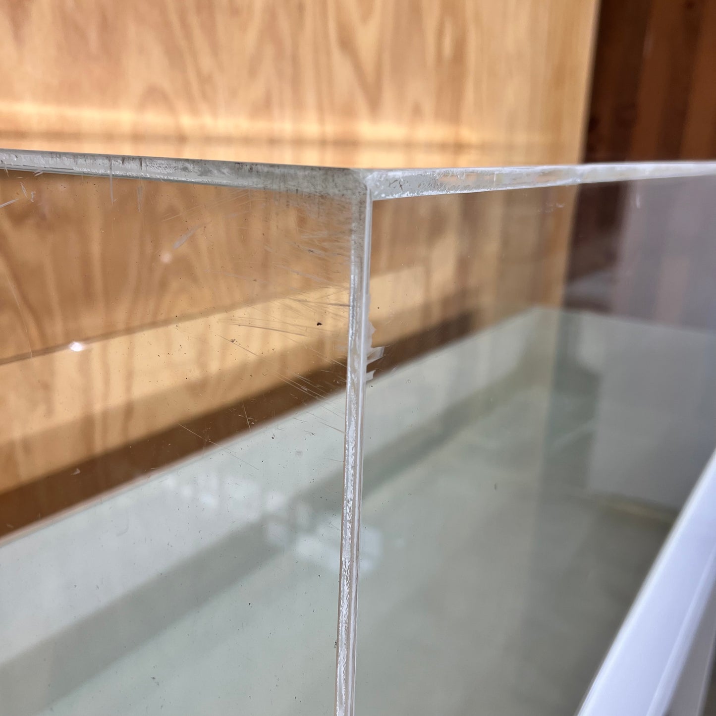 White Display Cabinet with Perspex Case and Two Shelf Options