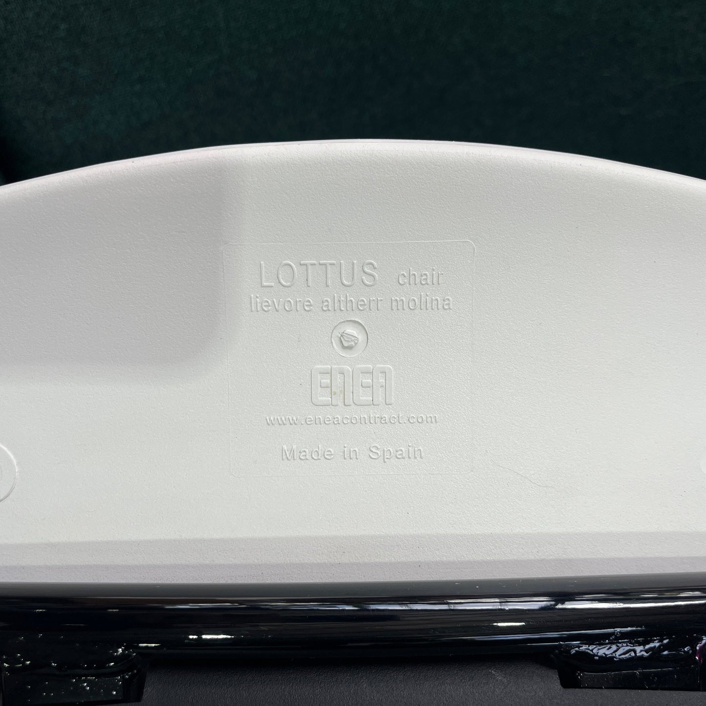 Lottus Chair by Enea in White