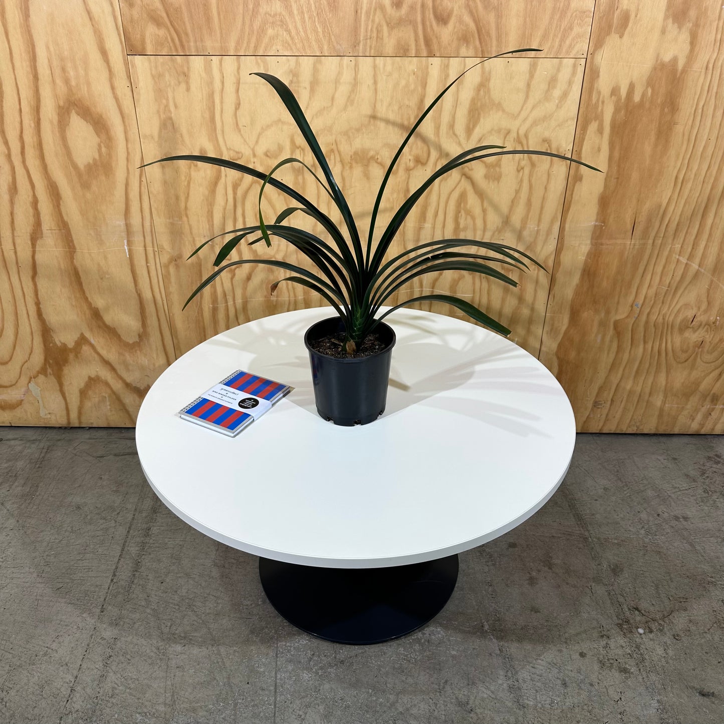 White Round Table with Black Base