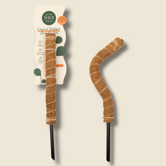 We the Wild Coco Climber