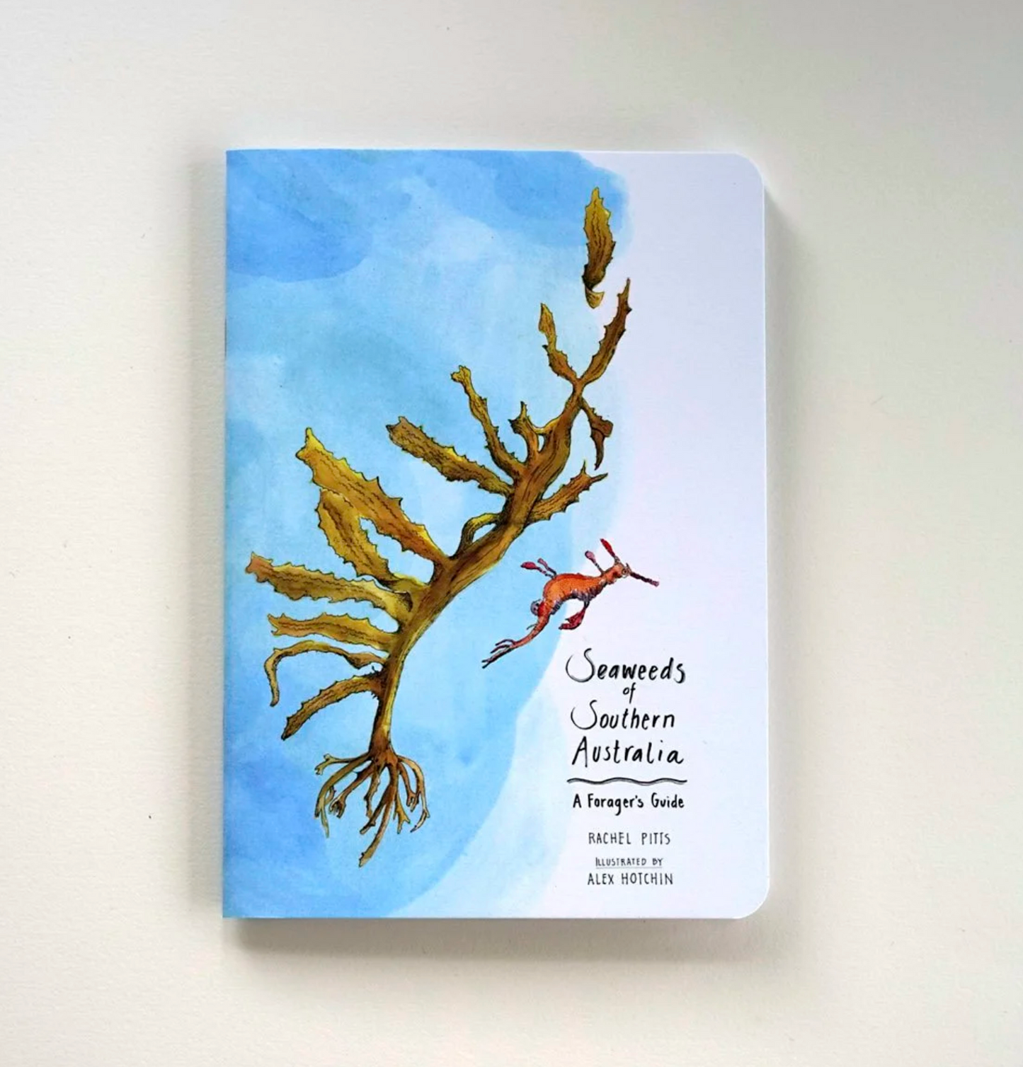 Seaweeds of Southern Australia by Rachel Pitts and Alex Hotchin