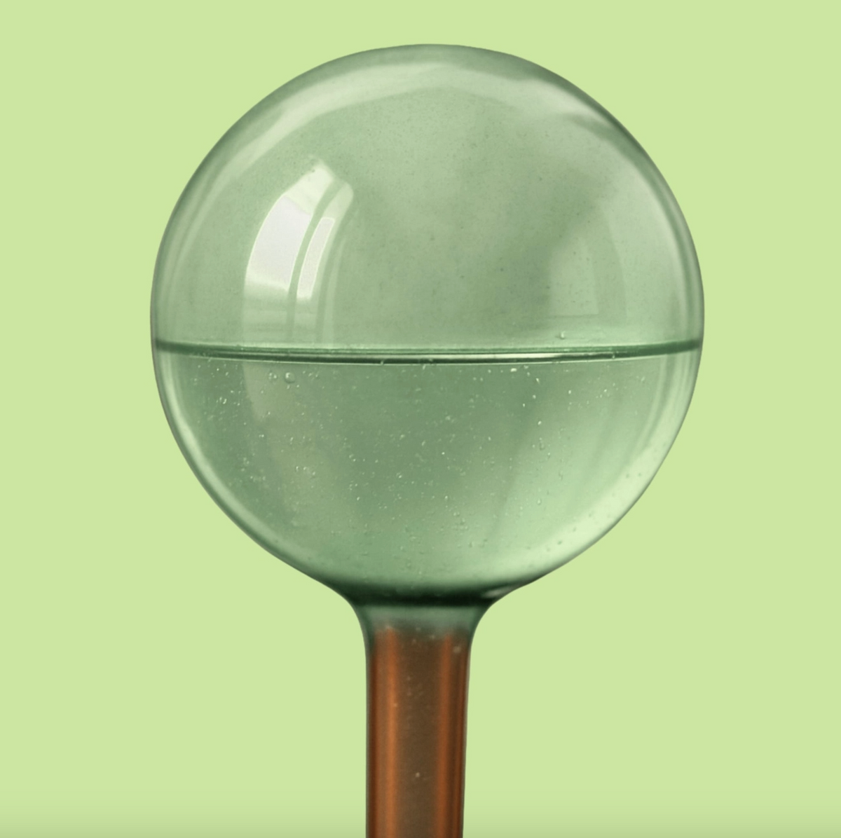 We the Wild Self Watering Plant Globes - Green