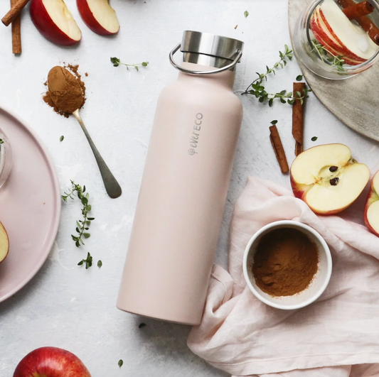 Ever Eco Insulated Drink Bottle 750ml