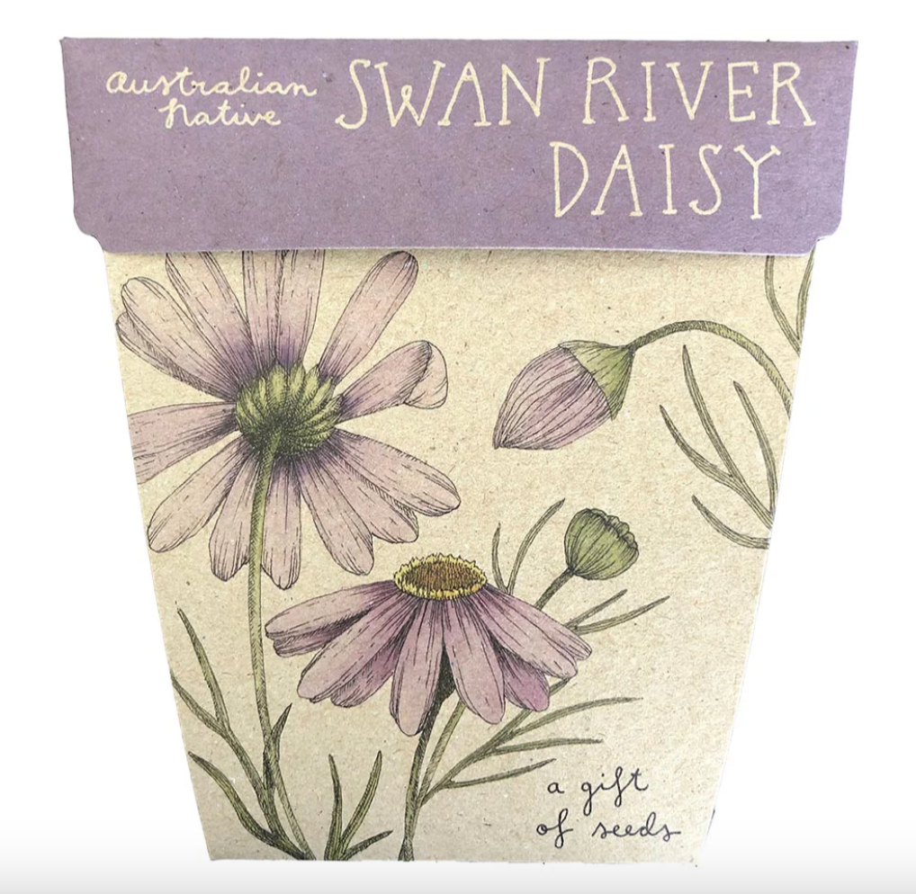 Sow 'n Sow Gift Of Seeds