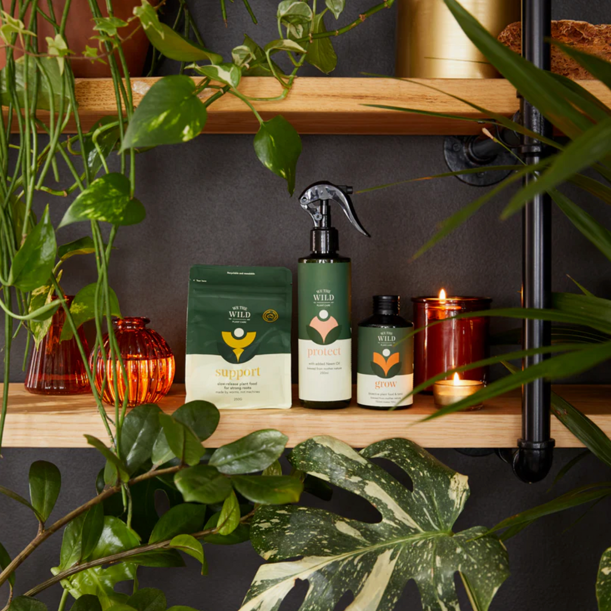 We the Wild Red Plant Lover Giftbox Essential Kit