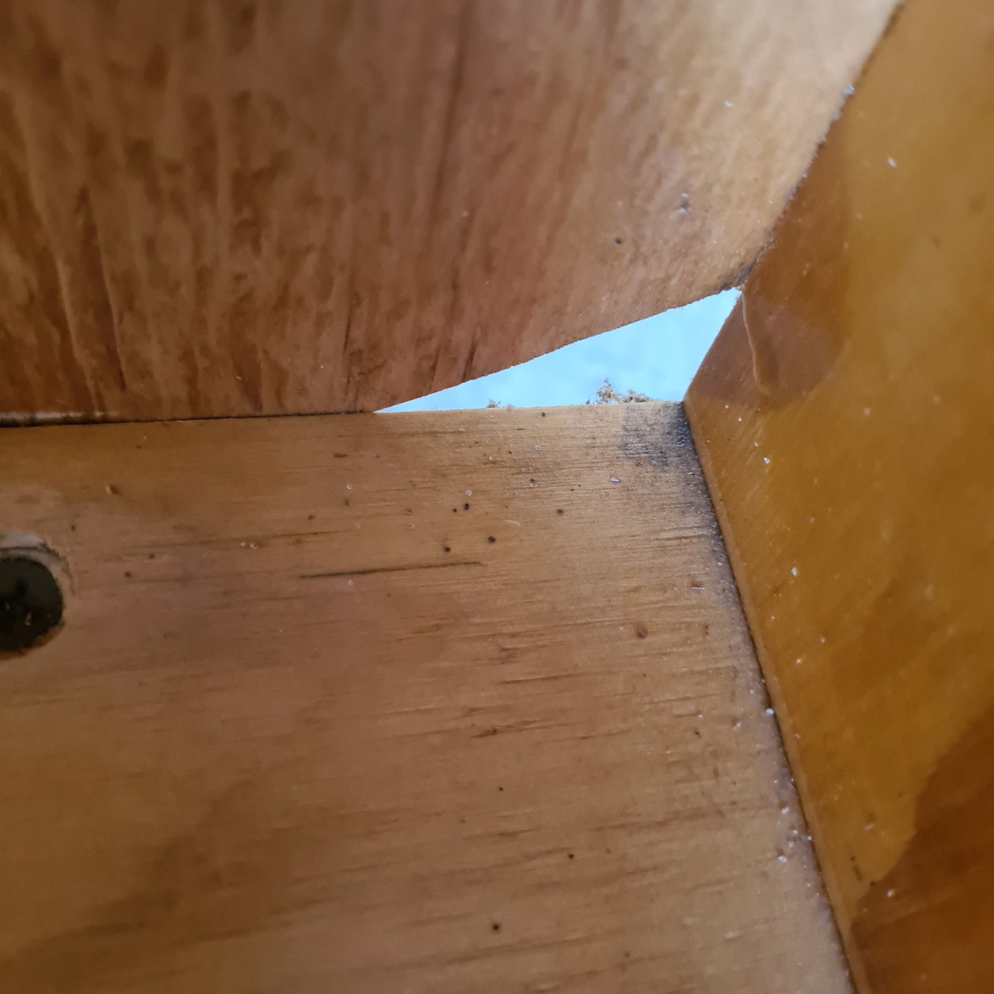 Vintage Timber Bookshelf
