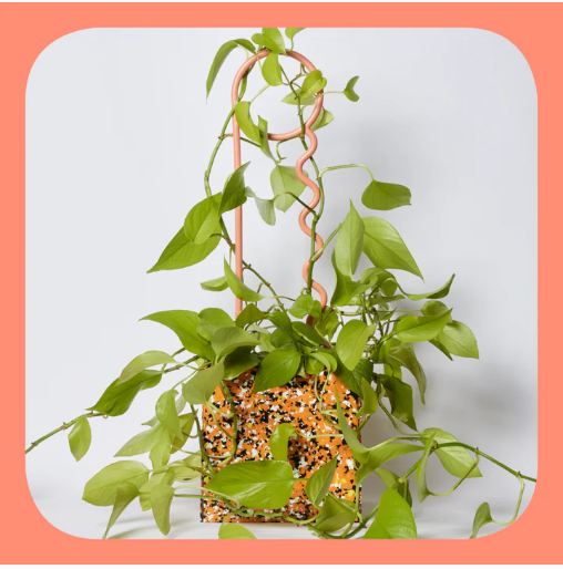 You Lucky Things Plant Pin