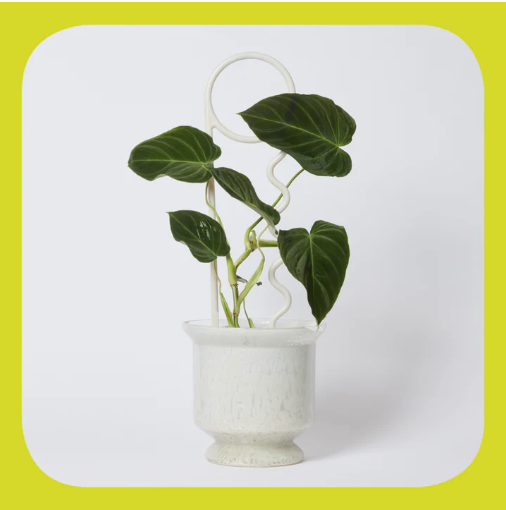 You Lucky Things Plant Pin