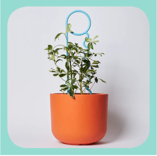 You Lucky Things Plant Pin
