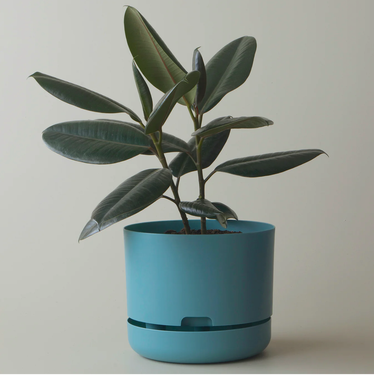 Mr Kitly Selfwatering Plantpot 215mm