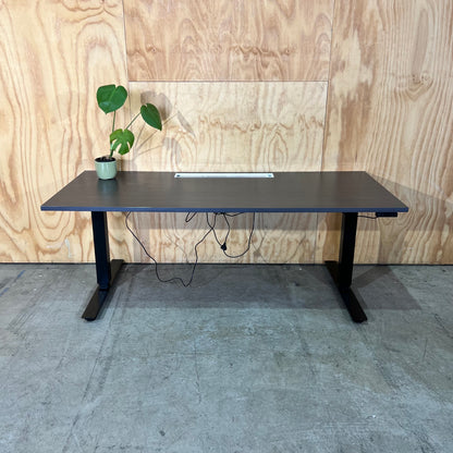 Electric Sit Stand Desk