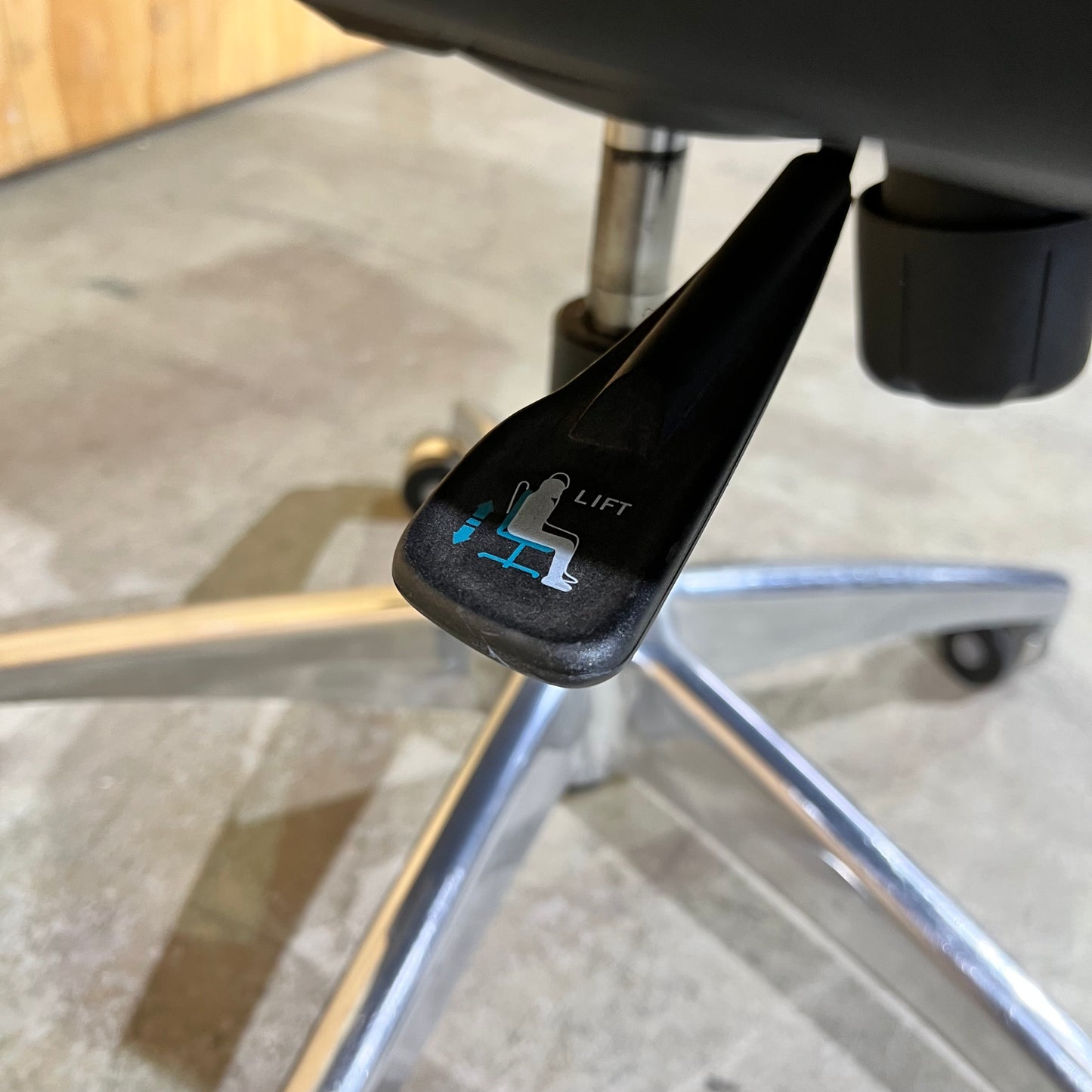 Eden Domain Leather Task Chair