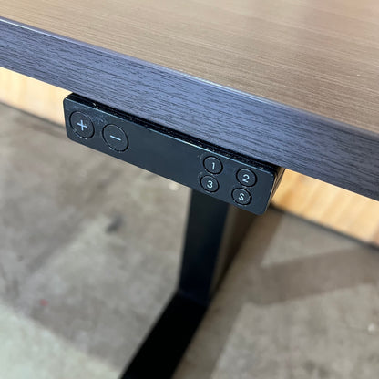 Electric Sit Stand Desk