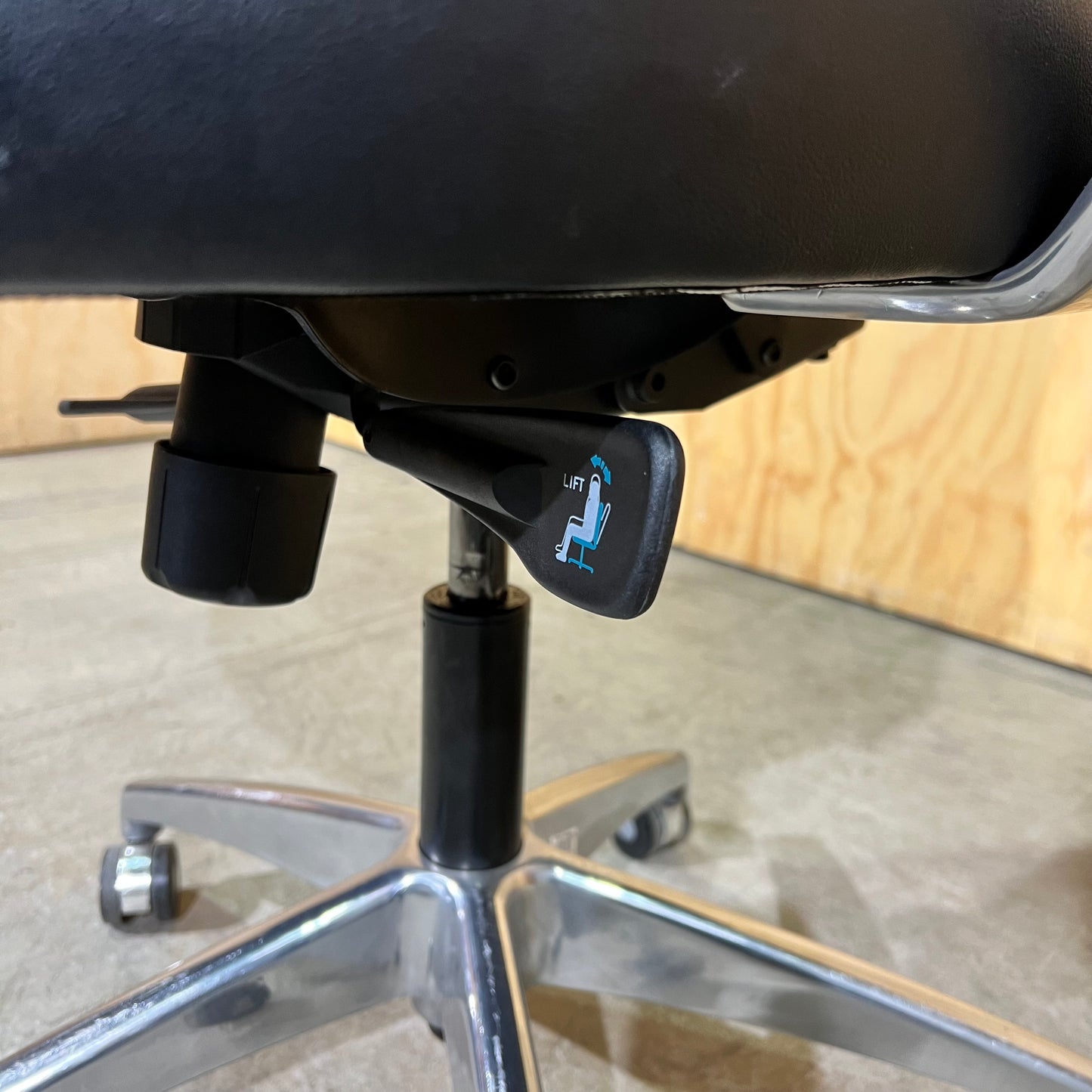 Eden Domain Leather Task Chair