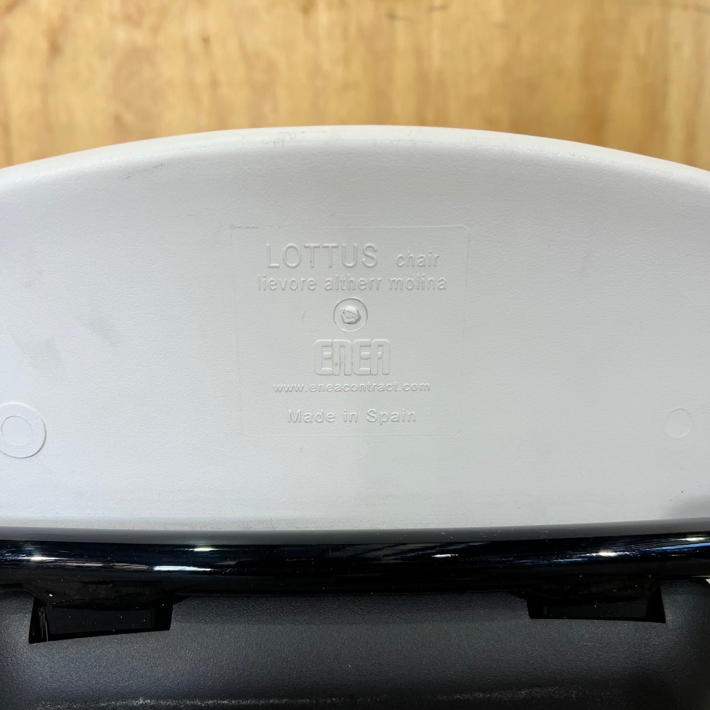 Lottus Chair by Enea in White