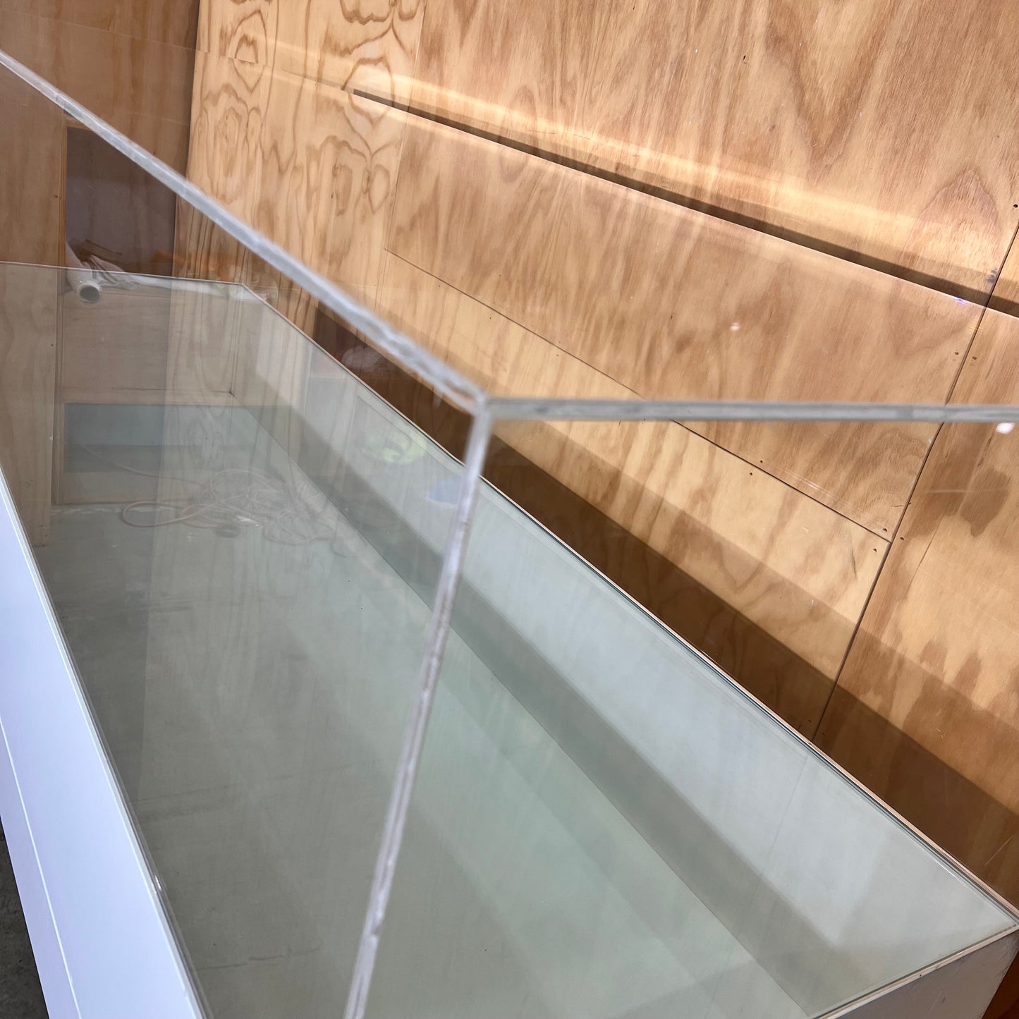 White Display Cabinet with Perspex Case and Two Shelf Options