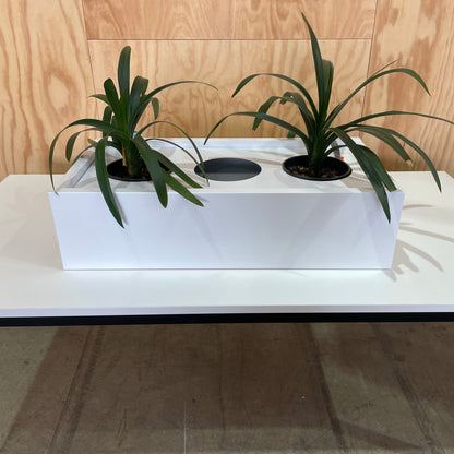 White Planter Box