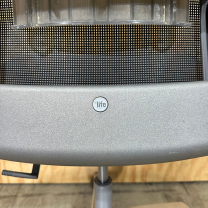 Life Chair by Formway Leather Seat with mesh back