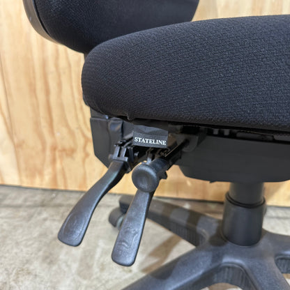 Stateline Medium Back Ergonomic Task Chair