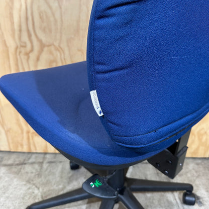 Blue Therapod Task Chair