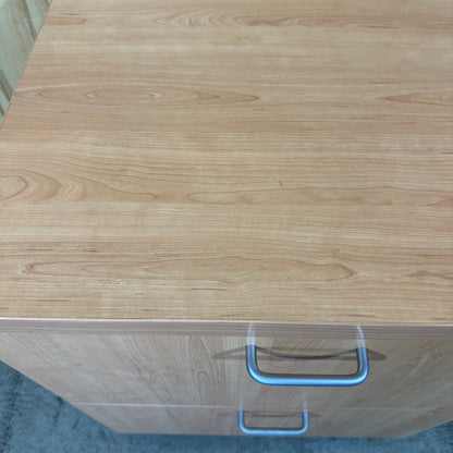 Classic Mobile Two-Drawer Filing Cabinet