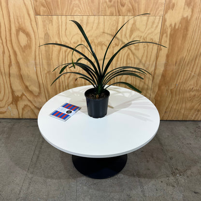 White Round Table with Black Base