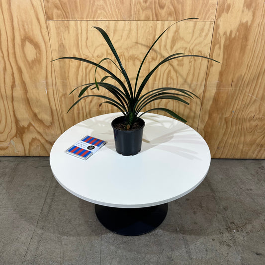 White Round Table with Black Base