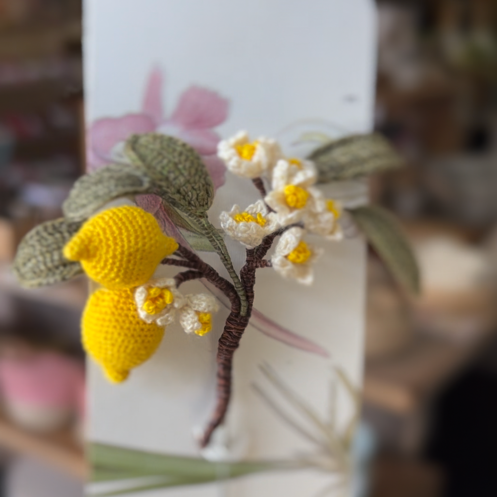 Crochet Flowers By Casper Van Leeuwen