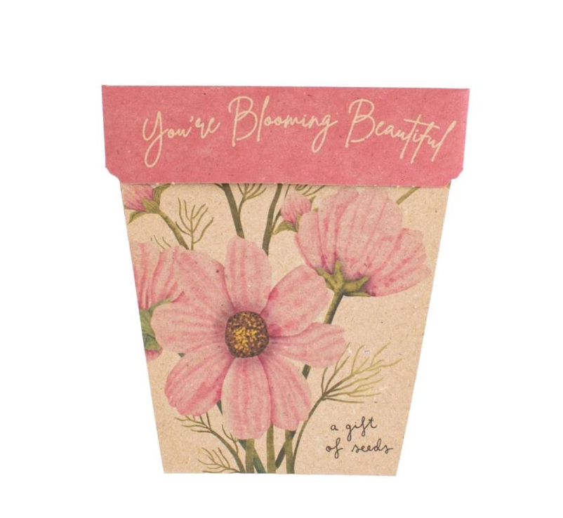 Sow 'n Sow Gift Of Seeds