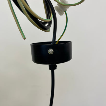 Round Metal Frame Pendant Light in Black