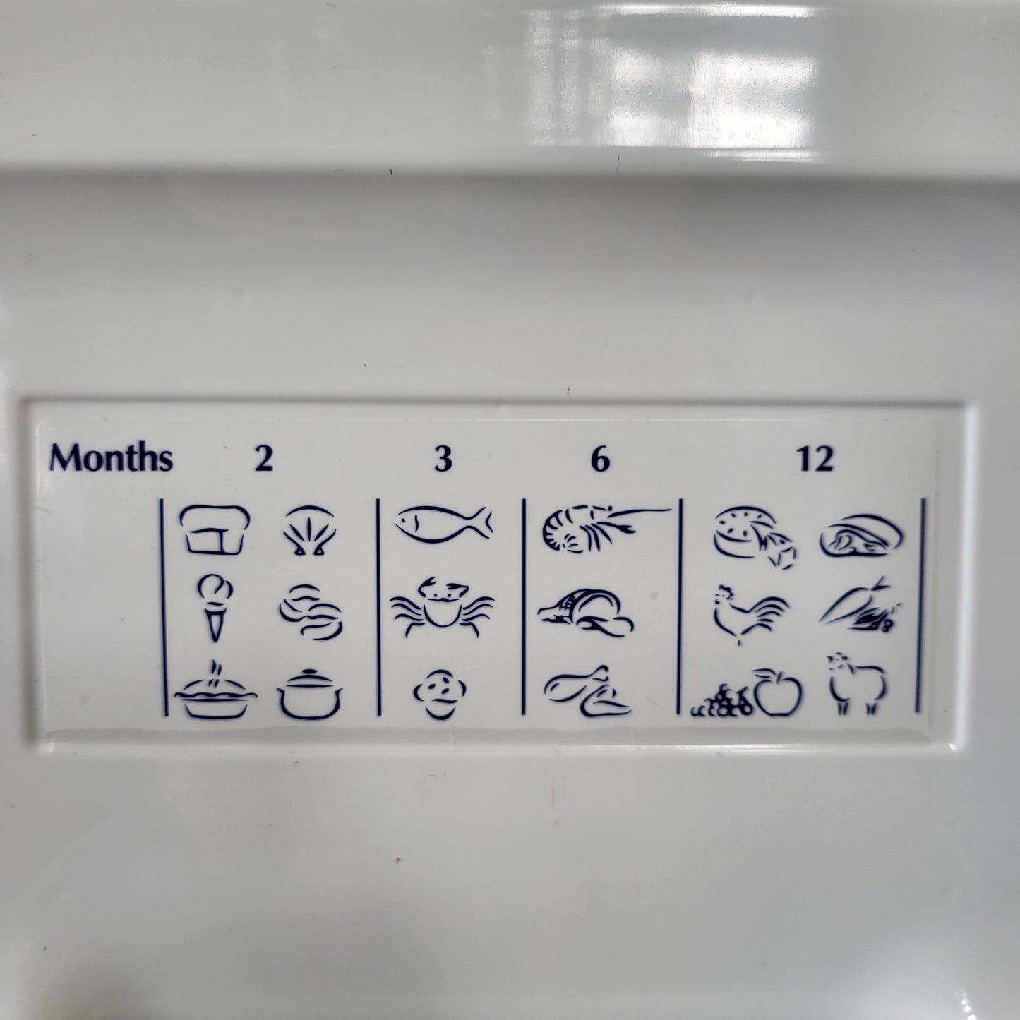 Fisher & Paykel 517L Fridge E521TLT3