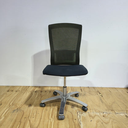 Life Chair by Formway Light Green/Black Mesh Office Chair