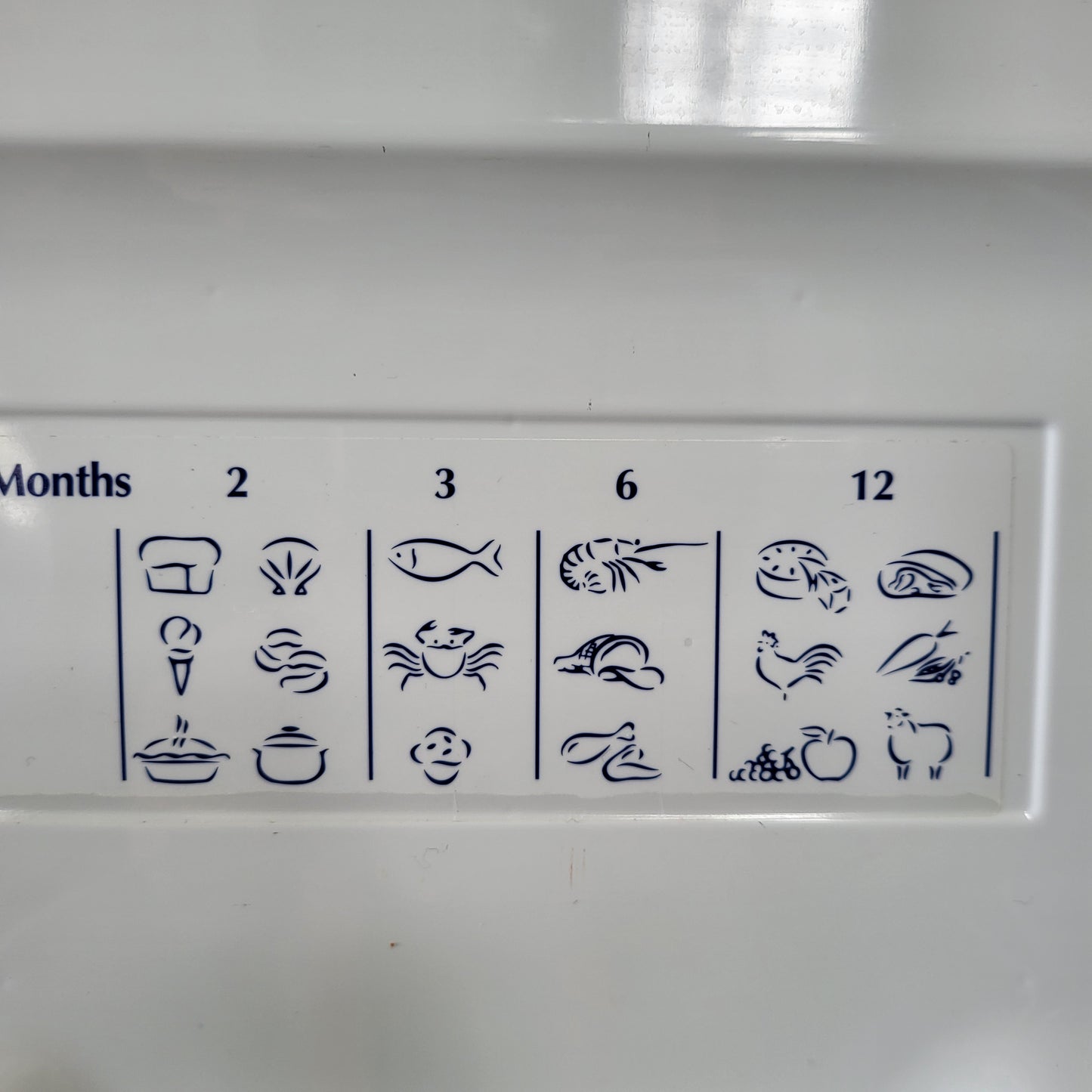 Fisher & Paykel 517L Fridge E521TLT3