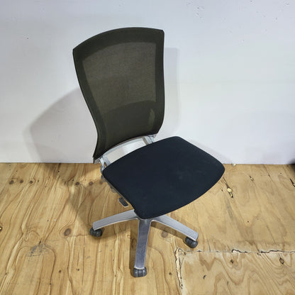 Life Chair by Formway Light Green/Black Mesh Office Chair
