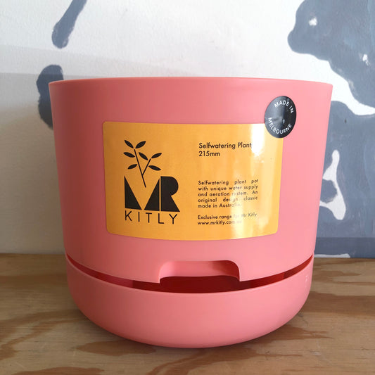 Mr Kitly Selfwatering Plantpot 215mm