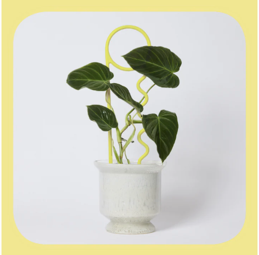 You Lucky Things Plant Pin