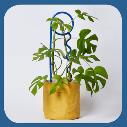 You Lucky Things Plant Pin