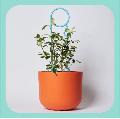 You Lucky Things Plant Pin